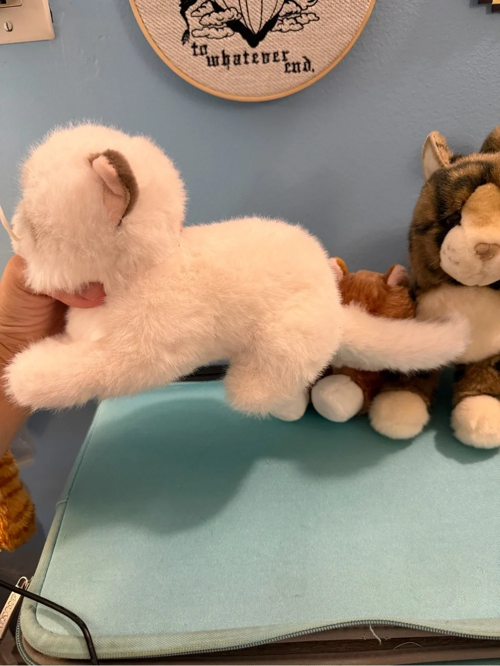 Cat plush bundle 2 aurora 1 bass pro